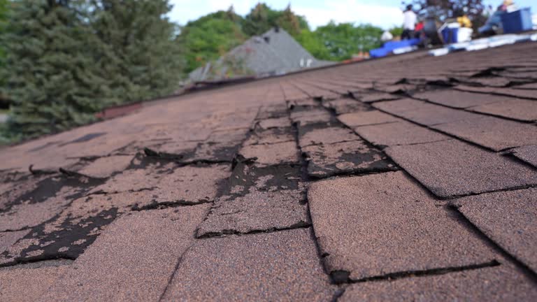 Best Wood Shake Roofing  in Del City, OK